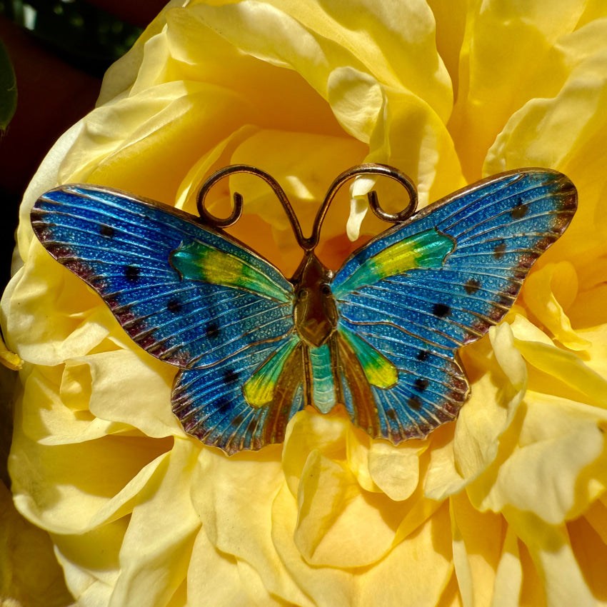 Vintage Gold Washed GUilloched Enamel Butterfly Pin S925 pin