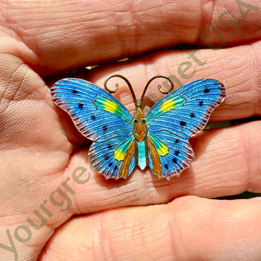 Vintage Gold Washed GUilloched Enamel Butterfly Pin S925 pin