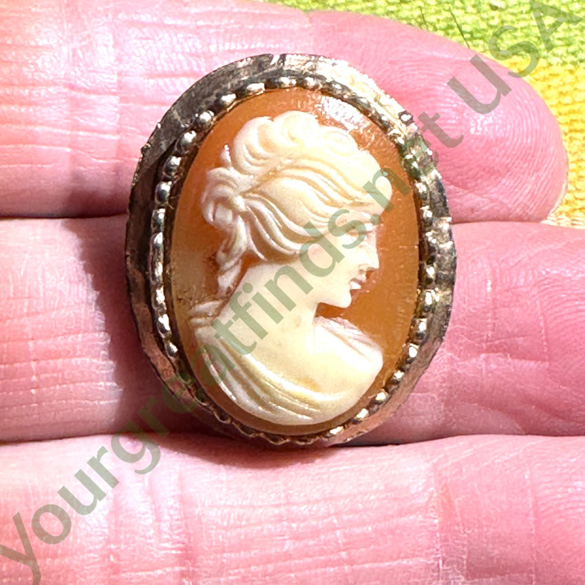 Vintage Goldtone Hand Carved Shell Cameo Pin