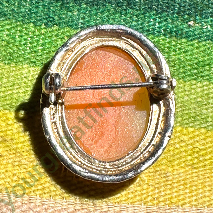 Vintage Goldtone Hand Carved Shell Cameo Pin