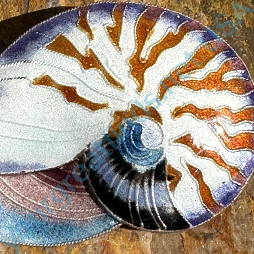 Vintage Guilloche Enamel Cloisonné Nautilus Shell Pin