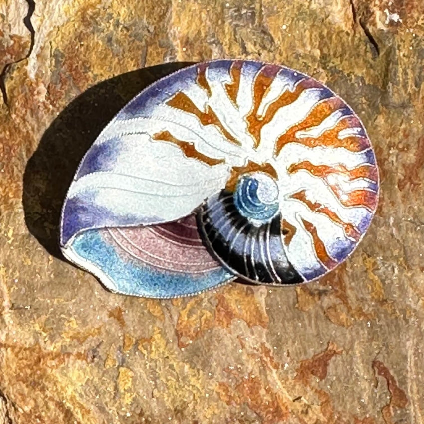 Vintage Guilloche Enamel Cloisonné Nautilus Shell Pin