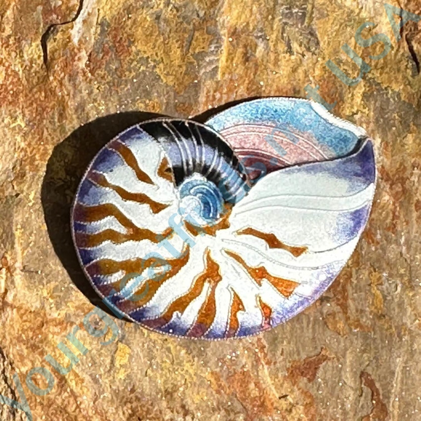 Vintage Guilloche Enamel Cloisonné Nautilus Shell Pin