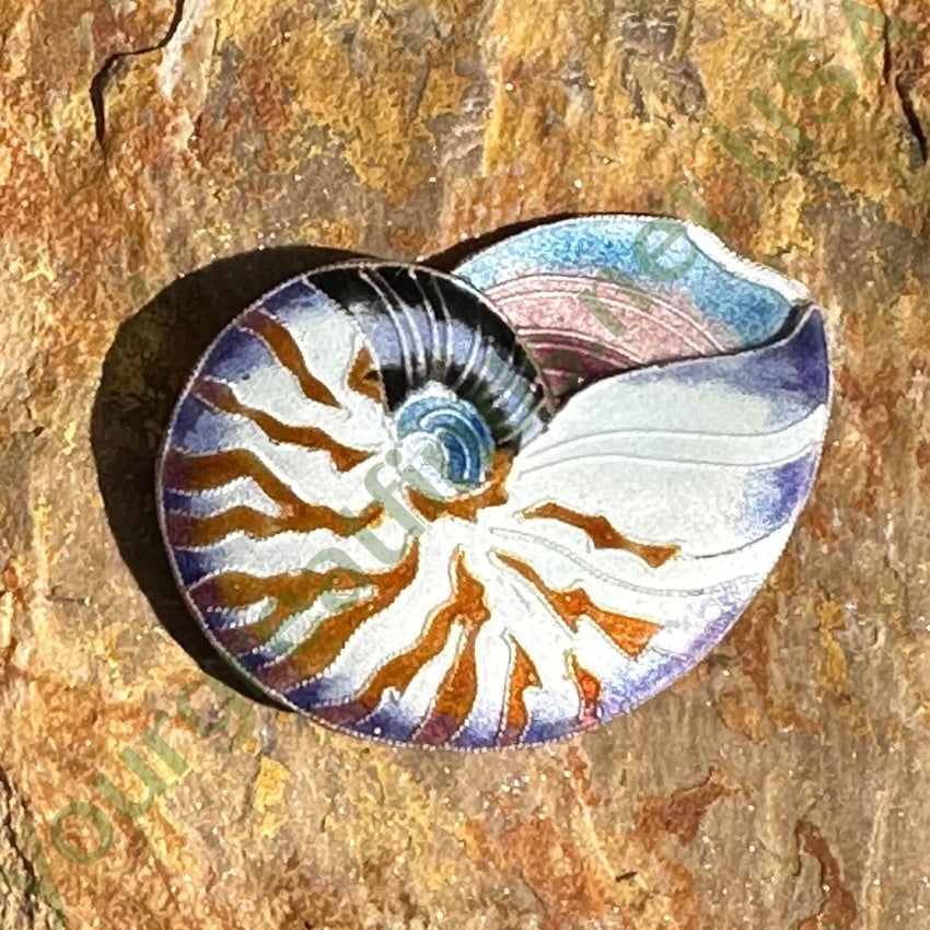 Vintage Guilloche Enamel Cloisonné Nautilus Shell Pin