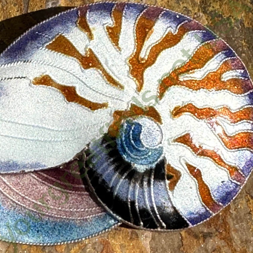 Vintage Guilloche Enamel Cloisonné Nautilus Shell Pin