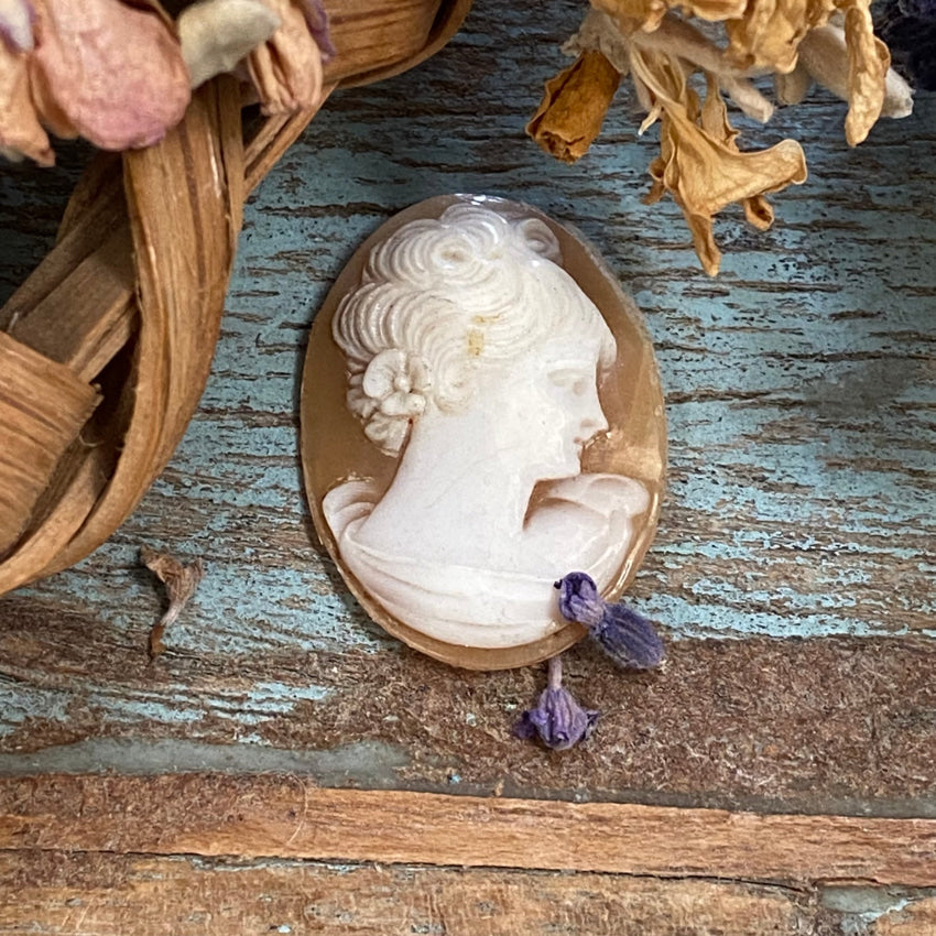 Vintage Hand Carved Shell Cameo Italy Unset