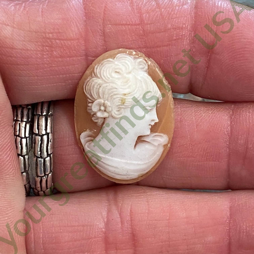 Vintage Hand Carved Shell Cameo Italy Unset