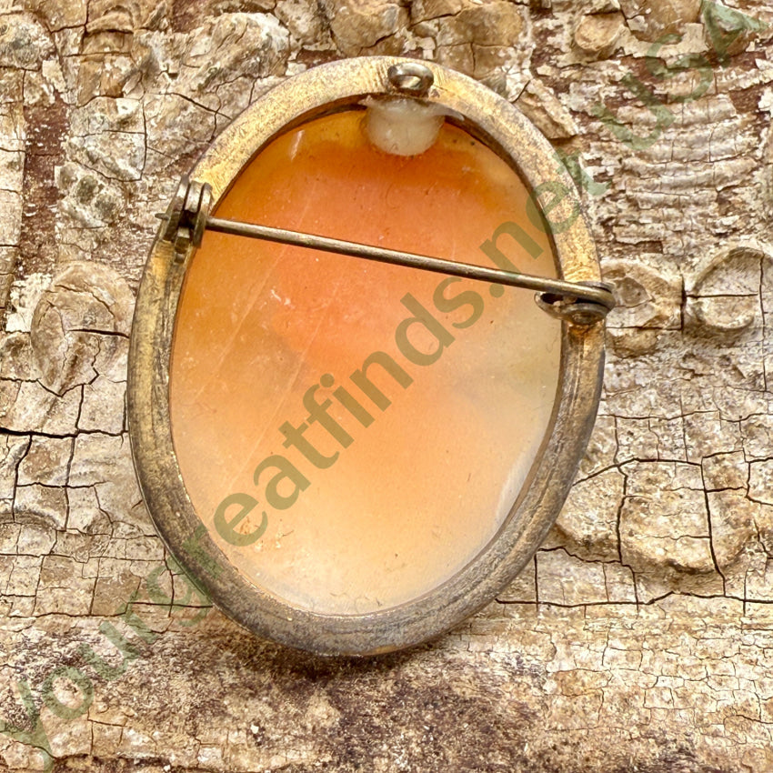 Vintage Hand Carved Shell Cameo Pin Pendant cameo pin