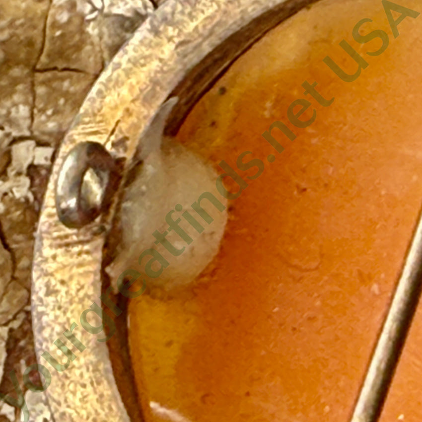 Vintage Hand Carved Shell Cameo Pin Pendant cameo pin