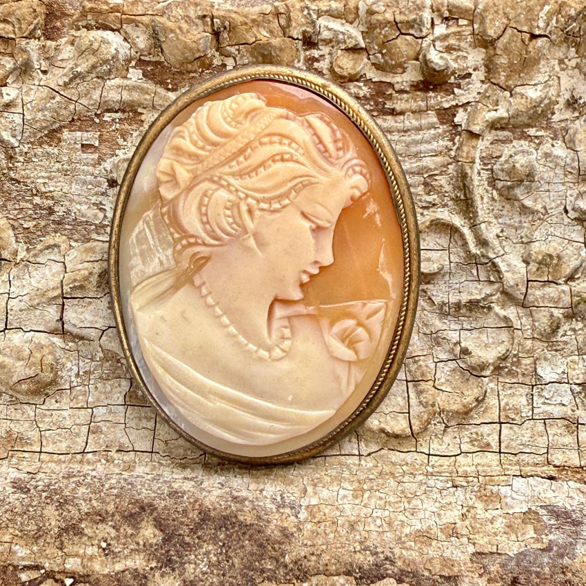 Vintage Hand Carved Shell Cameo Pin Pendant cameo pin