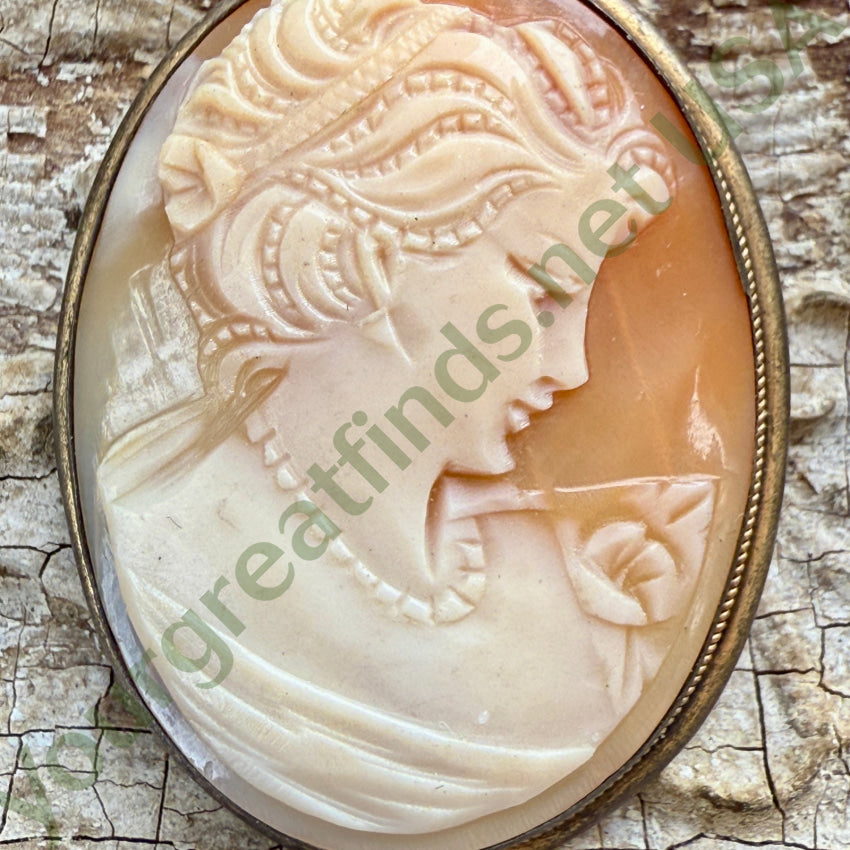 Vintage Hand Carved Shell Cameo Pin Pendant cameo pin