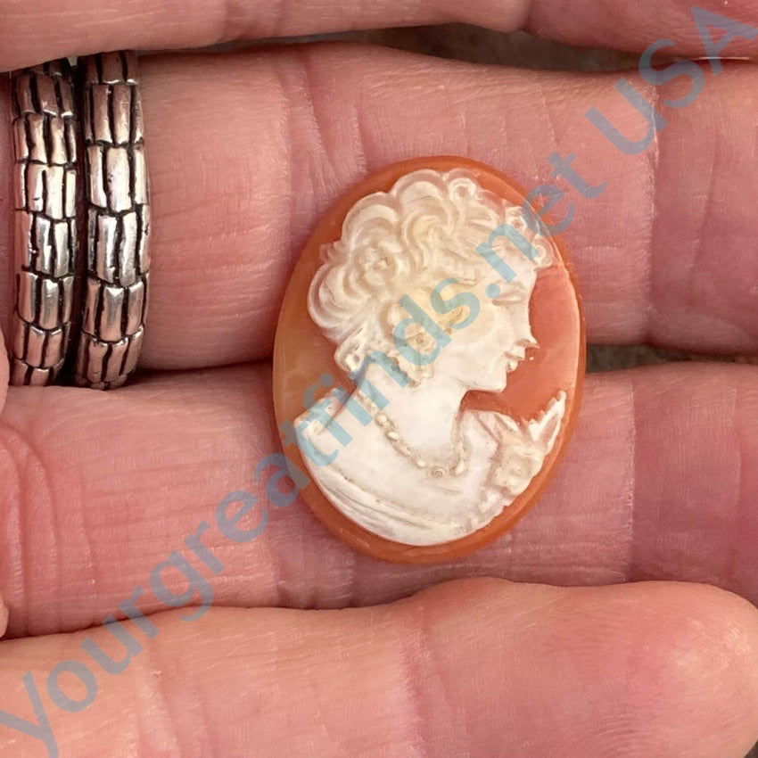 Vintage Hand Carved Shell Cameo Unset