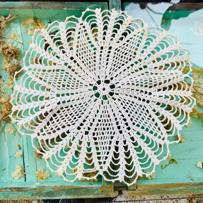 Vintage Hand Crochet Doily doily