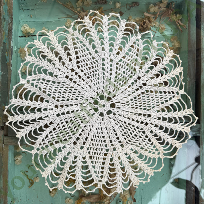 Vintage Hand Crochet Doily doily