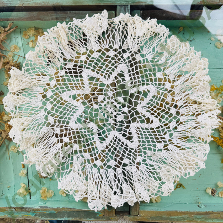Vintage Hand Crochet Doily doily