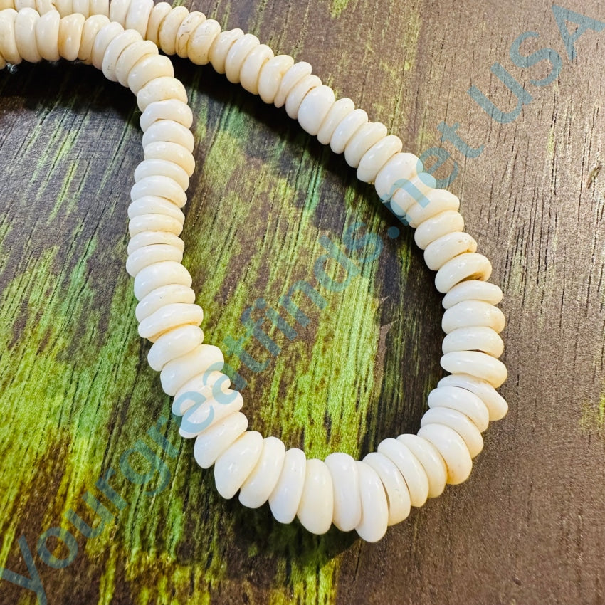 Vintage Hawaiian Puka Shell Choker Necklace 13 3/4