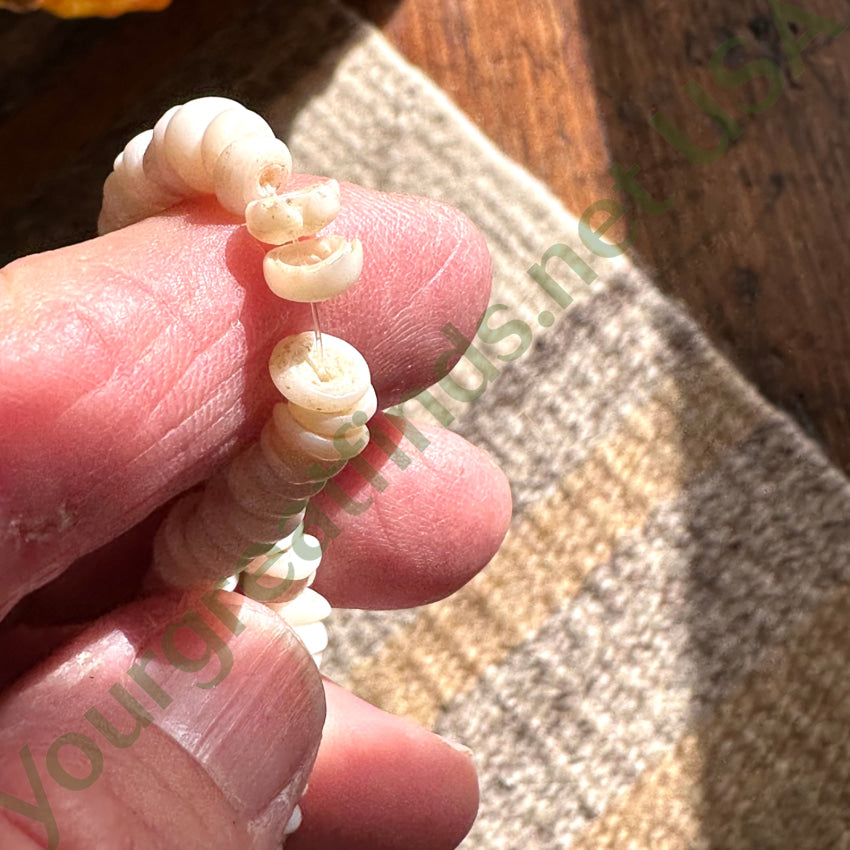 Vintage Hawaiian Puka Shell Necklace 14 1/2