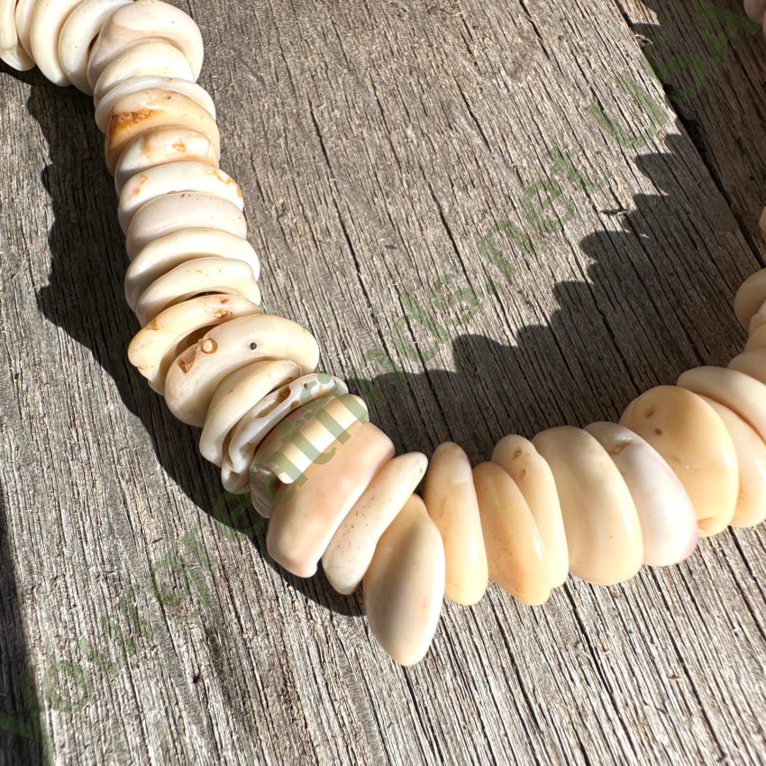 Vintage Hawaiian Puka Shell Necklace 22 1/2