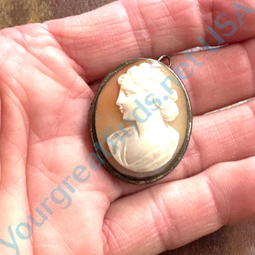 Vintage Italian Carved Shell Cameo Pin Pendant