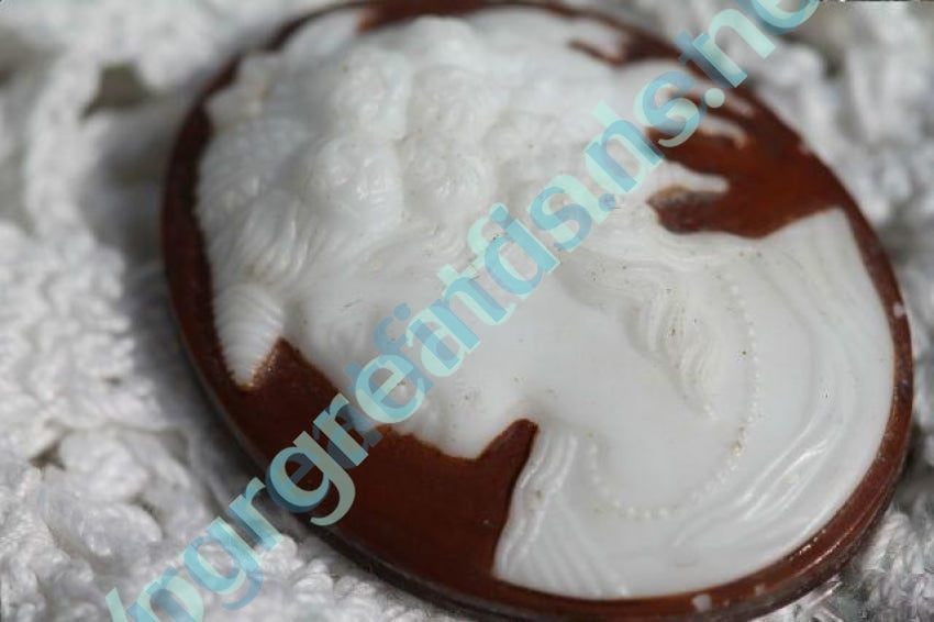 Vintage Molded Glass Cameo with No Setting Yourgreatfinds