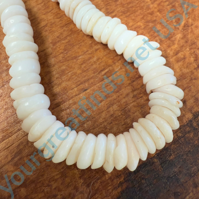 Vintage Natural Hawaiian Puka Shell Choker Necklace 15’’ L Necklace