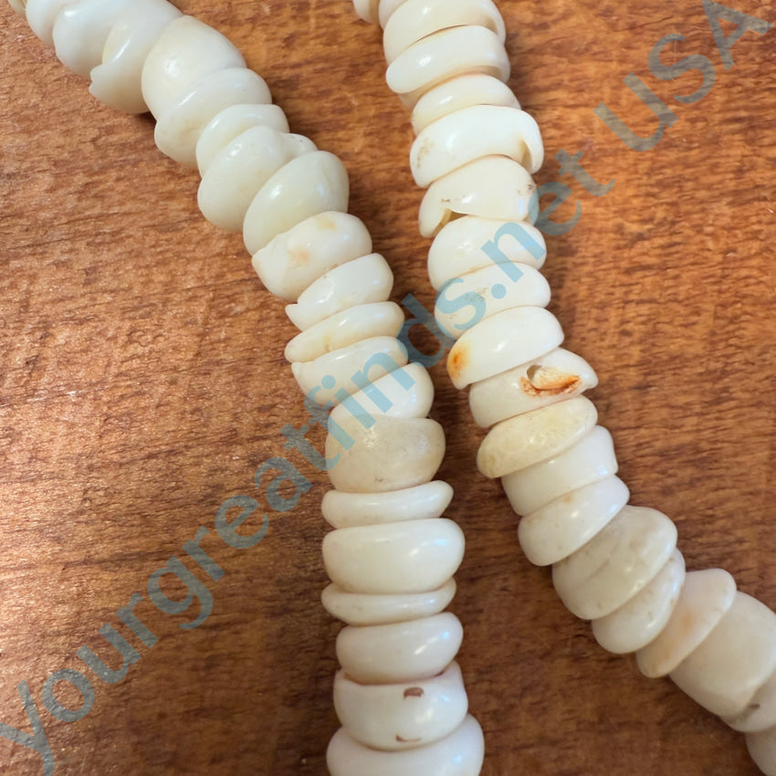 Vintage Natural Hawaiian Puka Shell Necklace 18’’ L Necklace