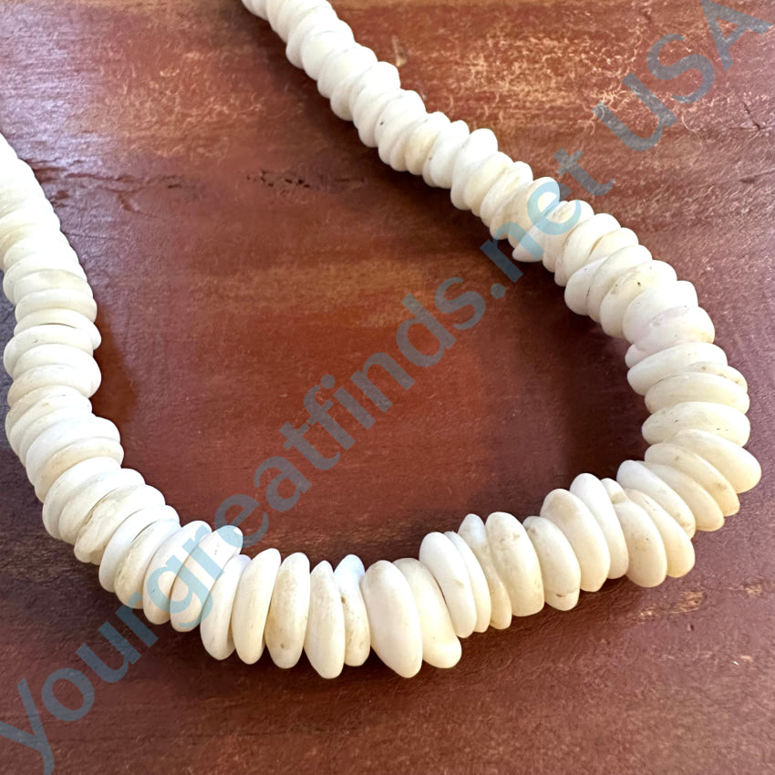 Natural High Grade Hawaiian Puka Shell Choker Necklace Necklace