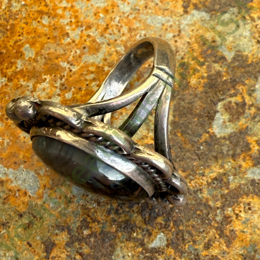 Vintage Navajo Sterling Silver Petrified Wood Landscape Agate Ring 6 ring