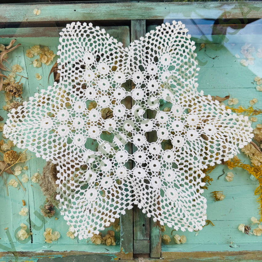 Vintage Star Shaped Hand Crochet Doily doily