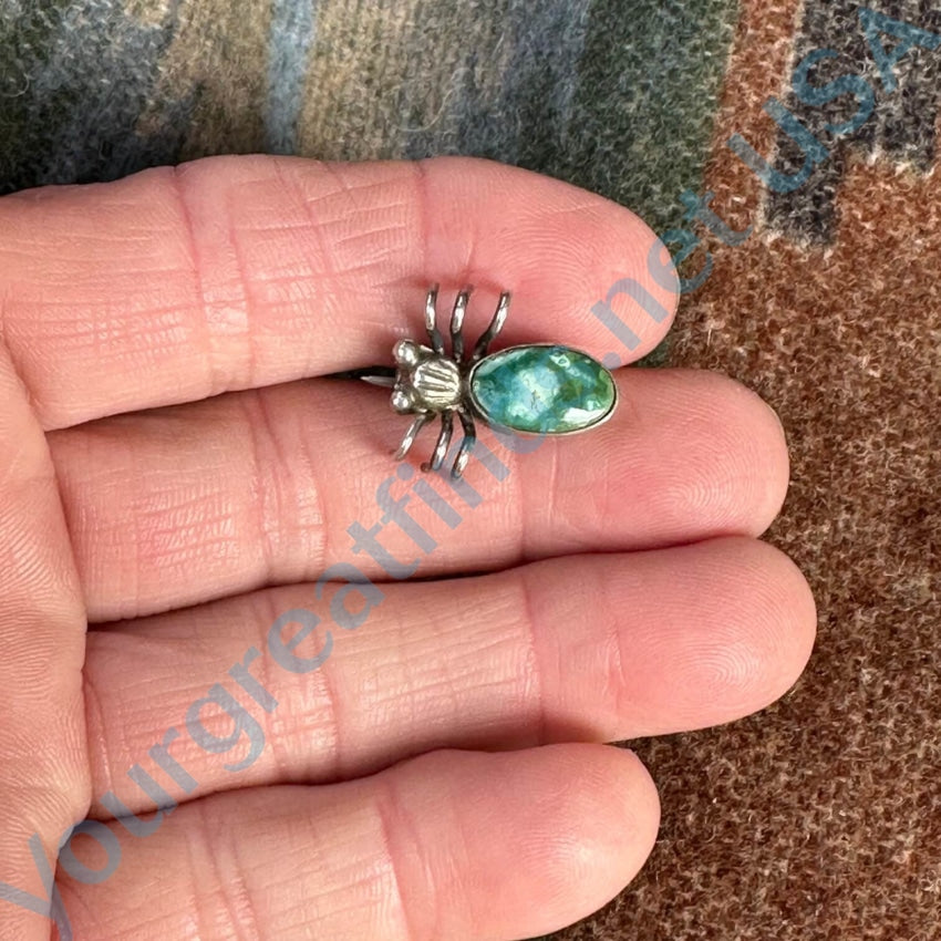 Vintage Sterling Asilver Bug Pin Stunning Turquoise