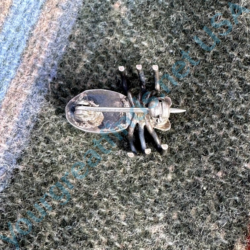 Vintage Sterling Asilver Bug Pin Stunning Turquoise