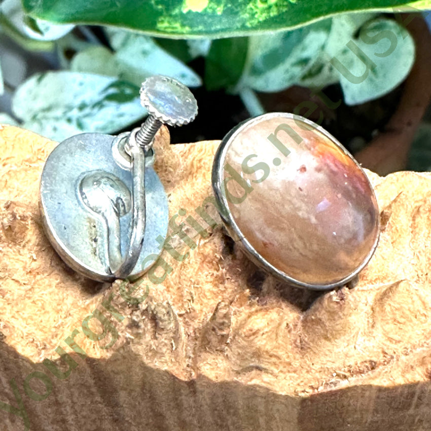 Vintage Sterling Silver Agate Screw Back Earrings