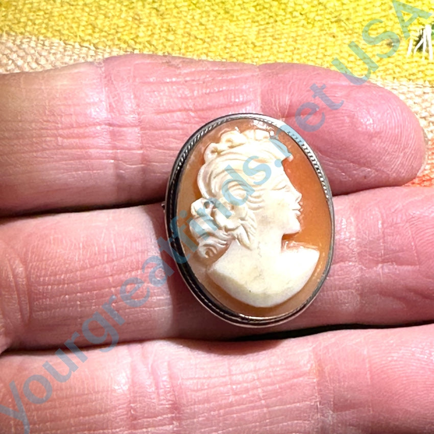 Vintage Sterling Silver Hand Carved Shell Cameo Pendant Pin