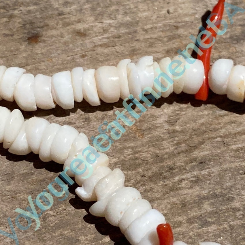 Coral outlets Beaded Body Chain with Natural Shells