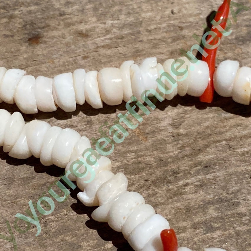 White Hawaiian Puka Shell and Red Branch Coral Choker Necklace 1970s Yourgreatfinds