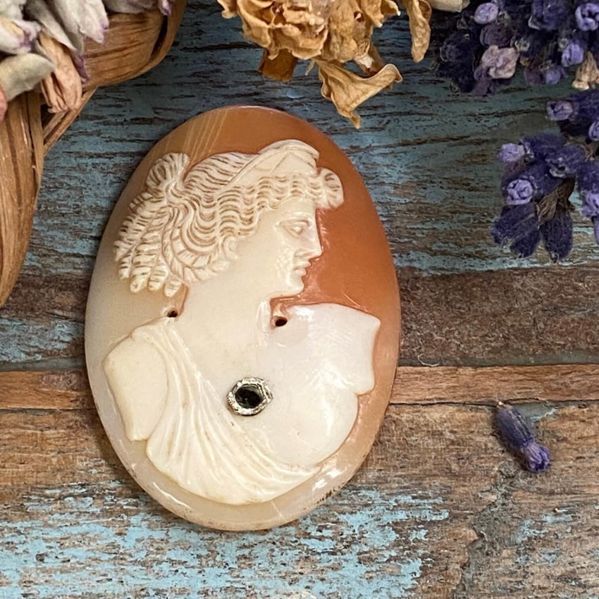 Antique Italian Hand Carved Habille Shell Cameo Unset