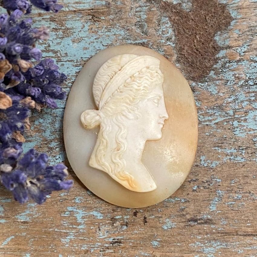 Antique Italian Hand Carved Shell Cameo Unset