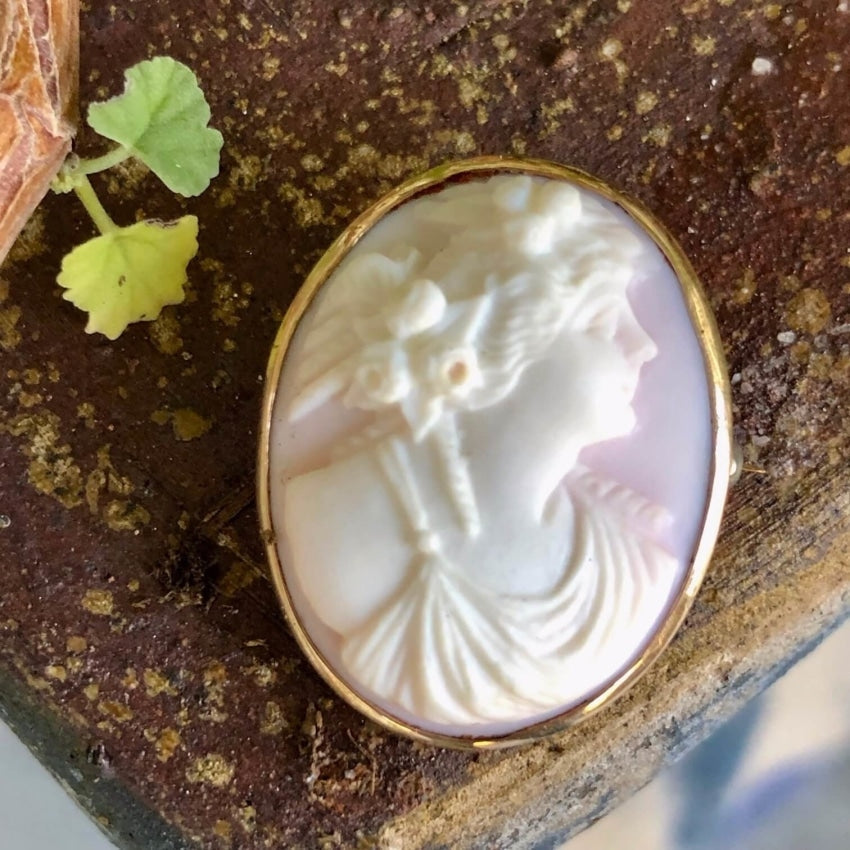 Antique Pink Conch Shell Cameo Brooch 10k Gold Yourgreatfinds