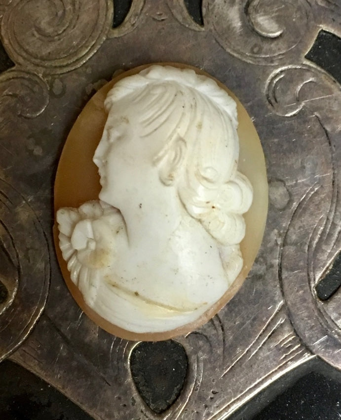 Antique Unset Cameo Hand-Carved Shell Yourgreatfinds