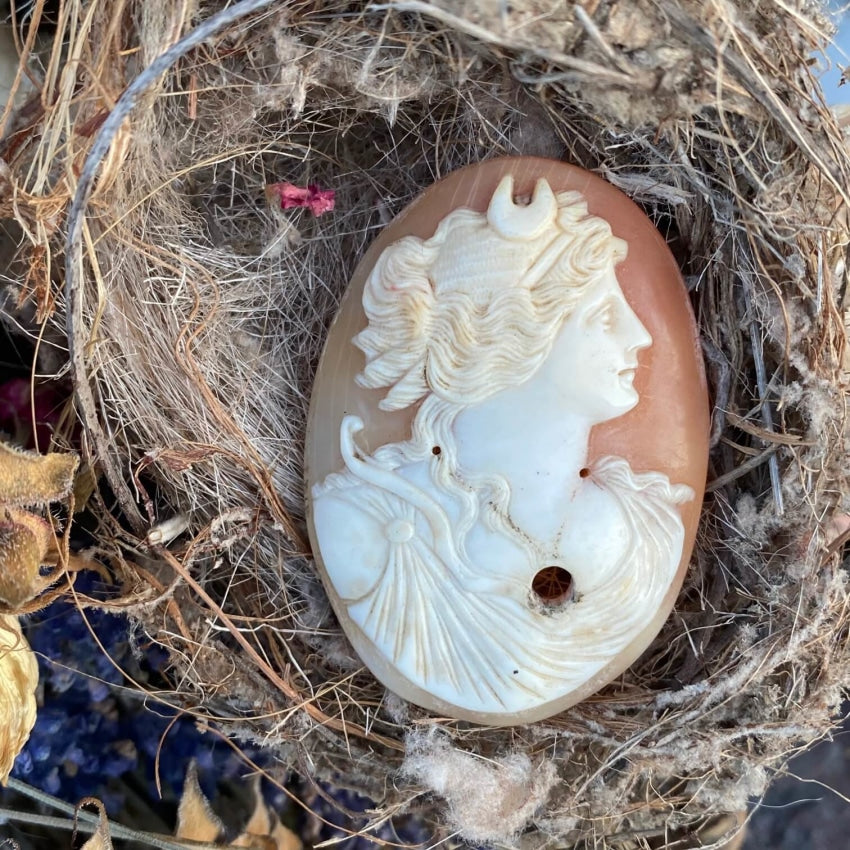 Large Antique Carved Shell Italian Cameo Artemis Diana