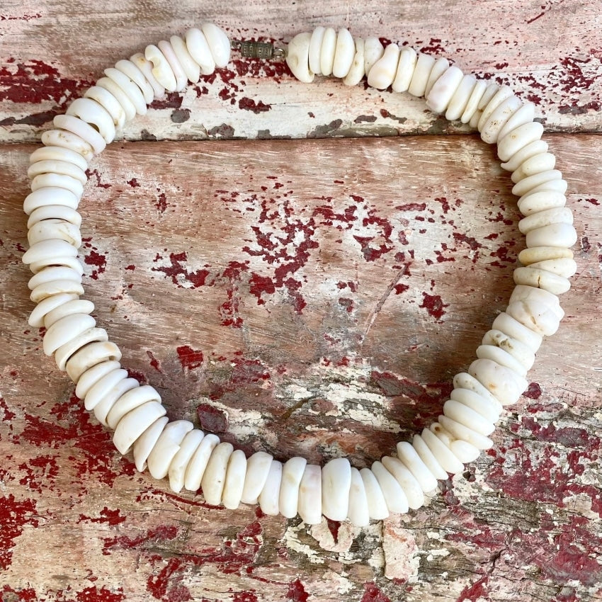 Natural  Large Hawaiian Puka Shell Choker Necklace Yourgreatfinds