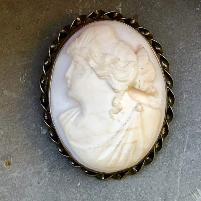 Pale Pink Conch Shell Cameo Brooch Yourgreatfinds