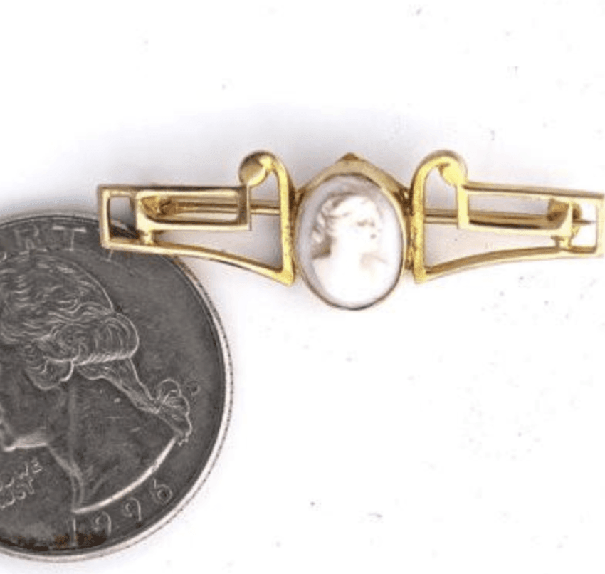 Pink Conch Shell 10k Gold Cameo Bar Pin Yourgreatfinds