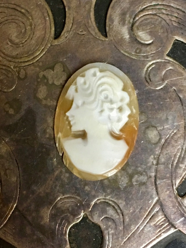 Unset Cameo Hand-Carved Shell Yourgreatfinds